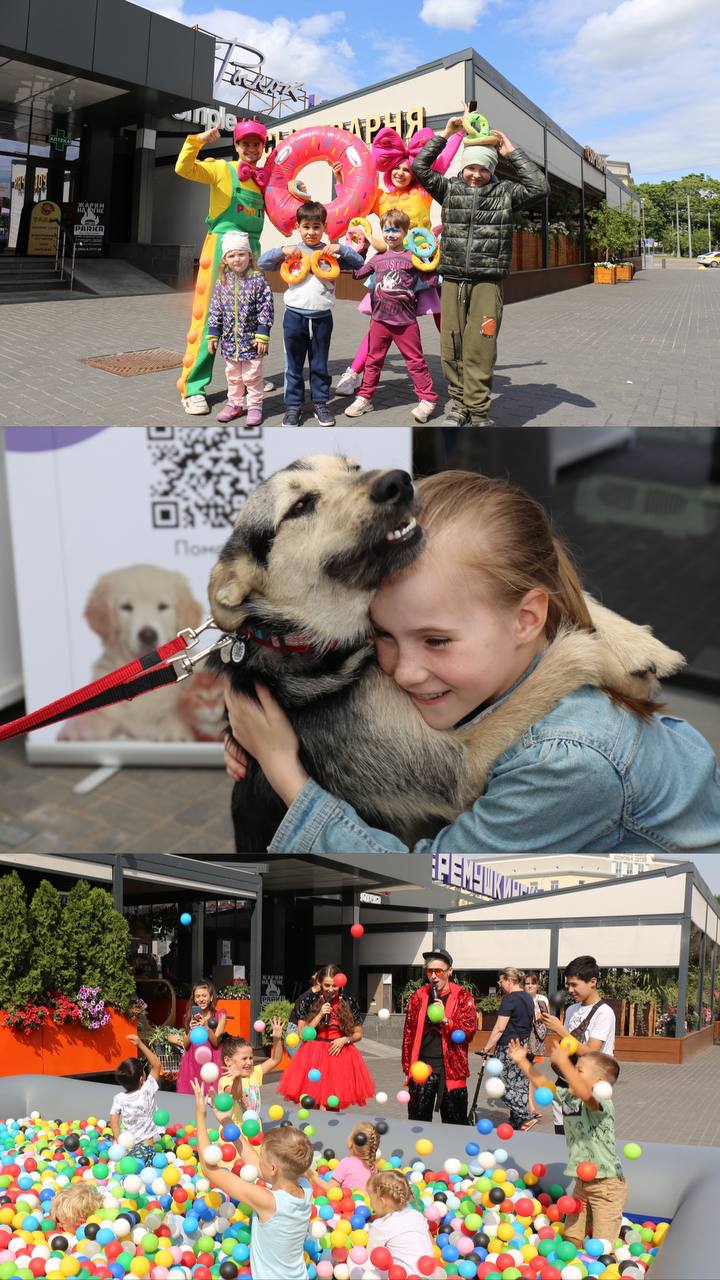 photo_2024-07-17 14.43.42 (1)